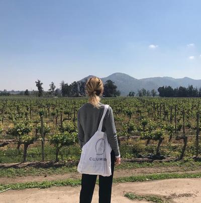 Newsletter, November 2019