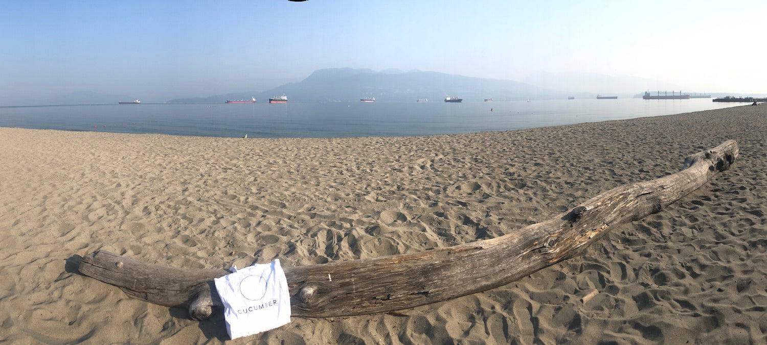 cucumber on the beach