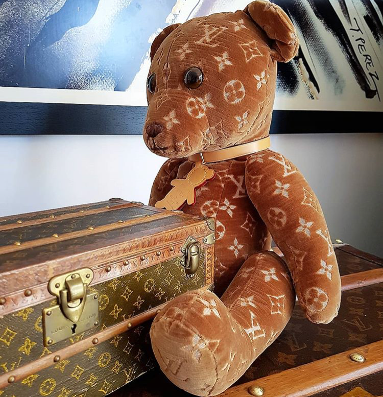 designer teddy bear