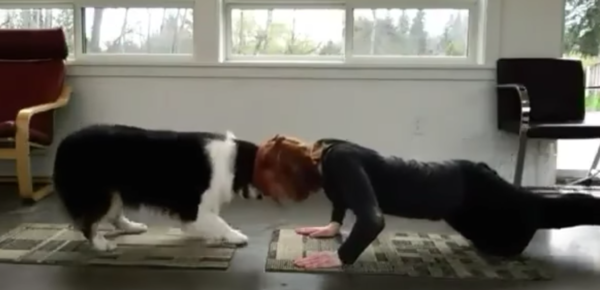 dog-yoga